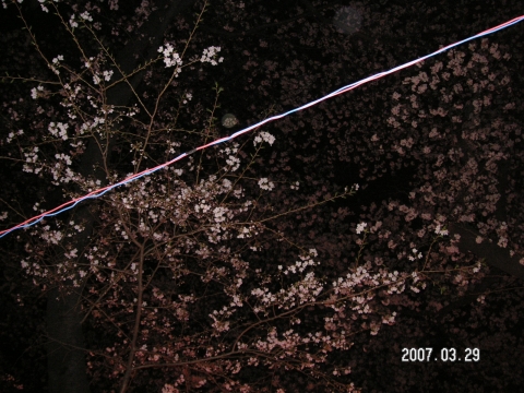 s_PICT0008.jpg